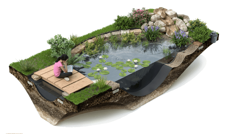 Gardening and landscaping